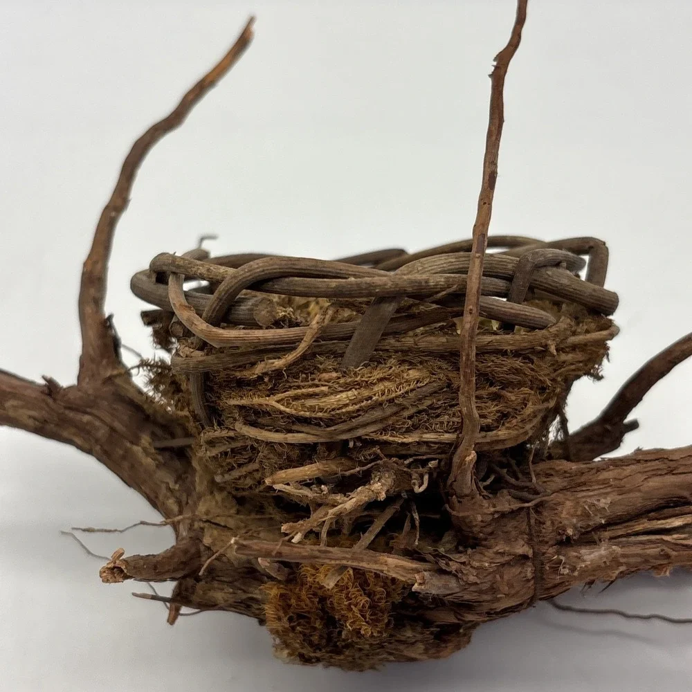 Bird nest  Garden decorations, home, floral accent, crafts, center piece